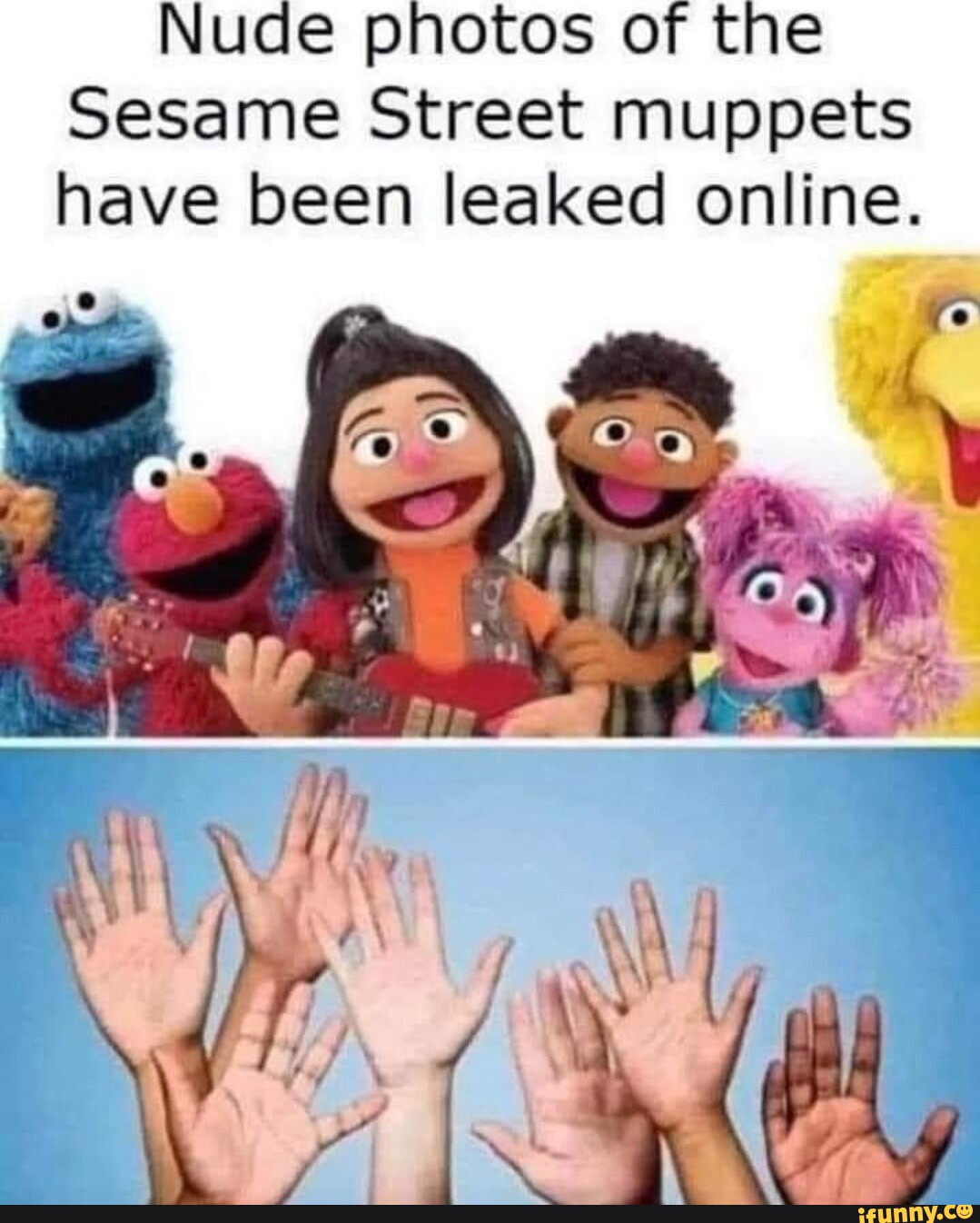 Nude Photos Of The Sesame Street Muppets Have Been Leaked Online IFunny