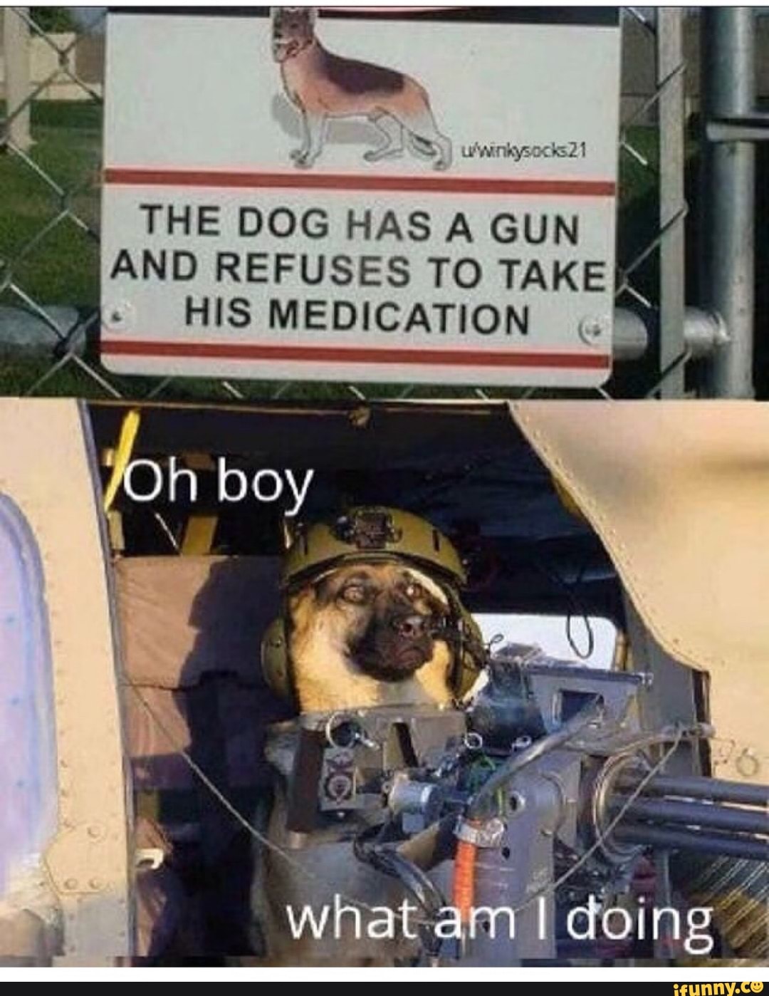THE DOG HAS A GUN AND REFUSES TO TAKE) HIS MEDICATION iFunny