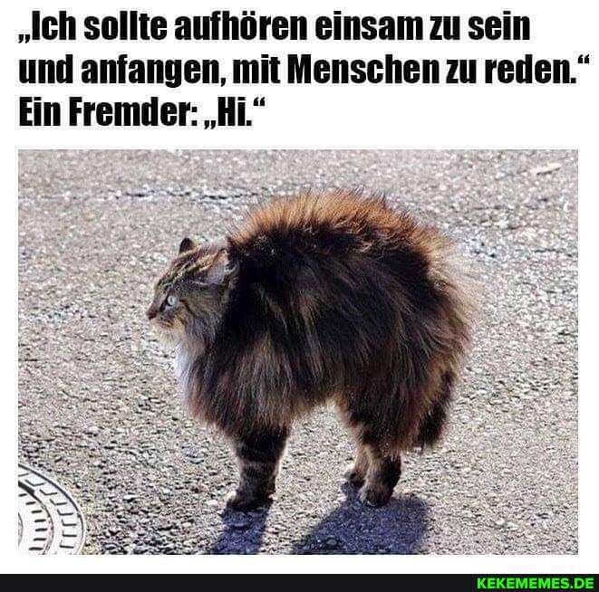 "Ich sollte aufhören einsam zu sein und anfangen, mit Menschen zu reden."
Ein Fremder: "Hi"