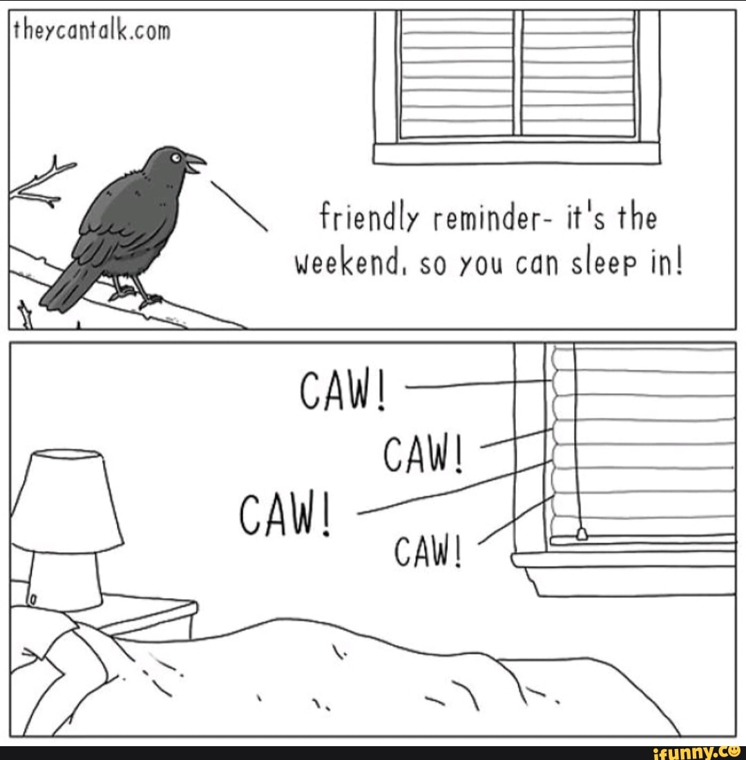 theycantalk.com
friendly reminder- it's the
weekend, so you can
sleep in!