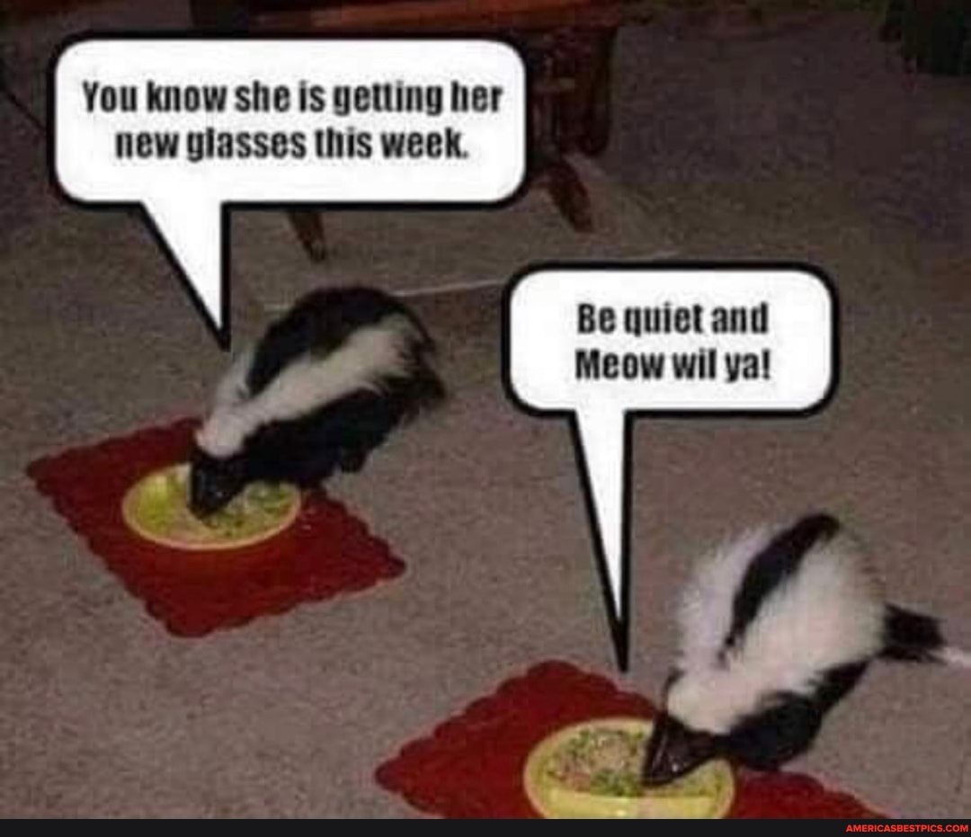 You know she is getting her new glasses this week.
Be quiet and
Meow wil ya!