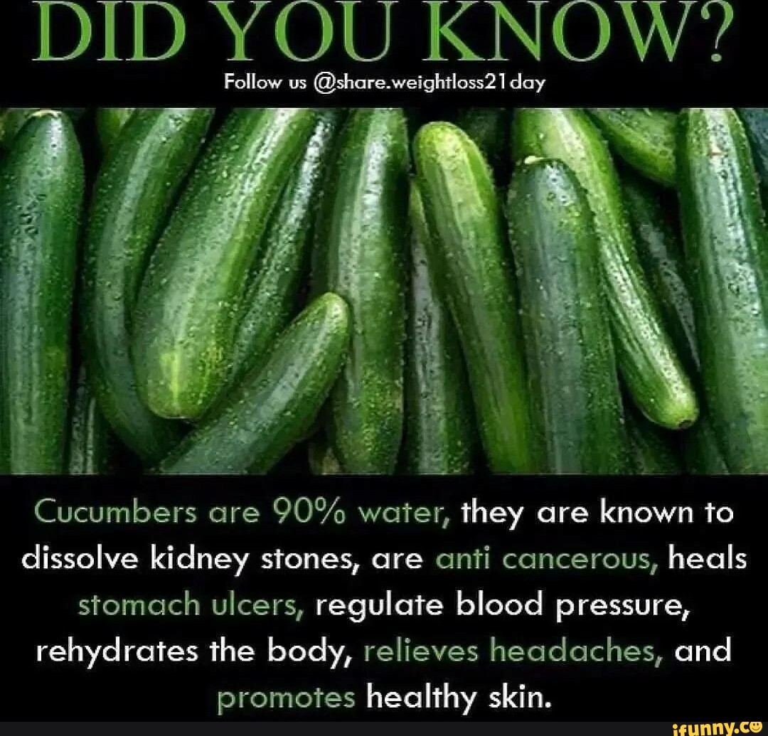 DID YOU KNOW? Follow Us @shore.weightlass2 Day Ai Cucumbers Are 90% ...