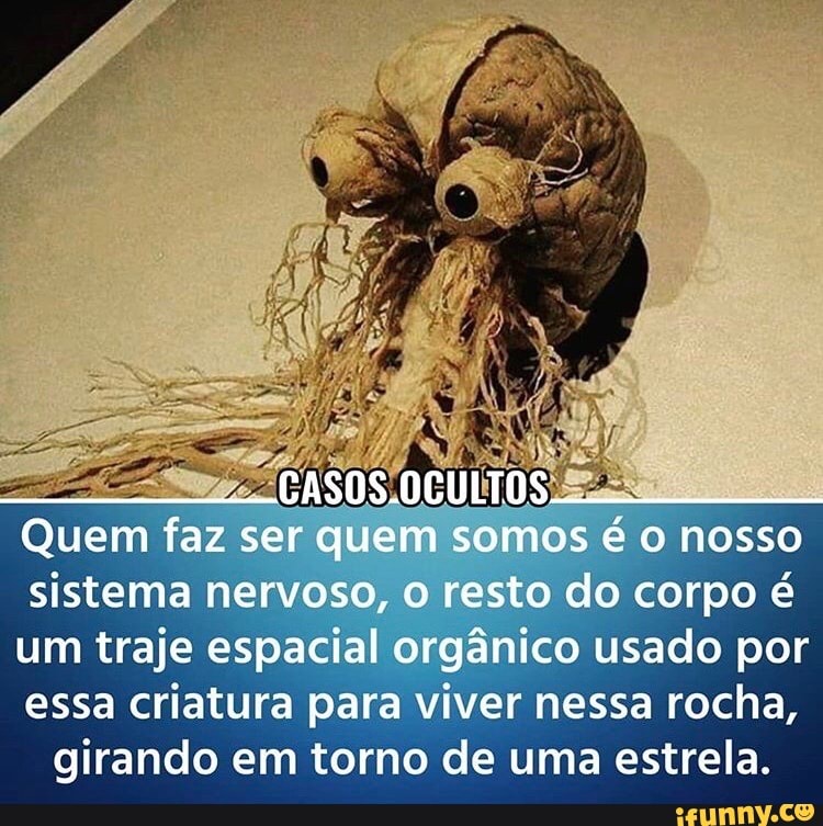 CASOS.OCULTOS Quem faz ser quem somos é o nosso
sistema nervoso, o resto do corpo é
um traje espacial orgânico usado por
essa criatura para viver nessa rocha, girando em torno de uma estrela.