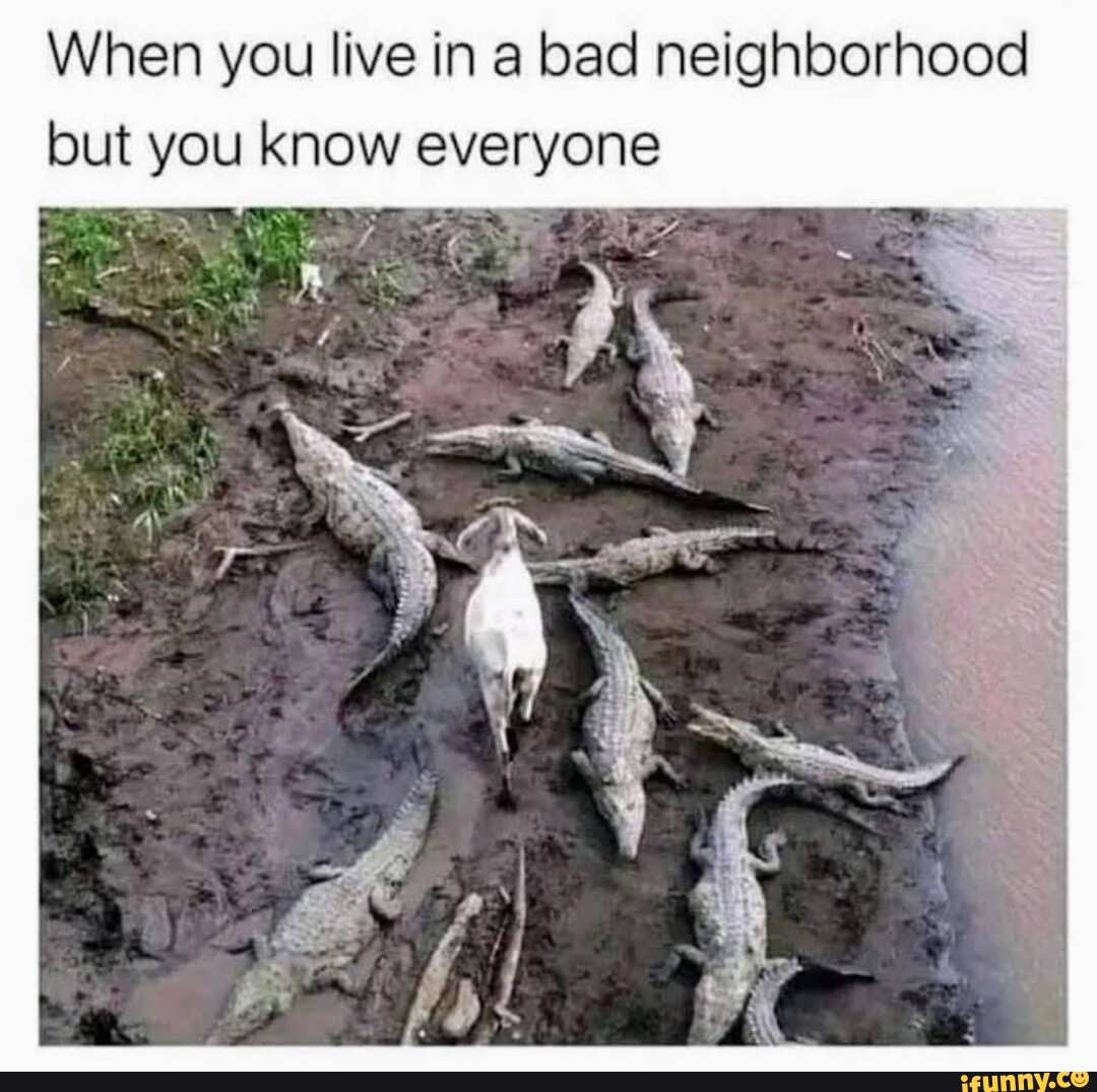 when-you-live-in-bad-neighborhood-but-you-know-everyone-ye-ifunny