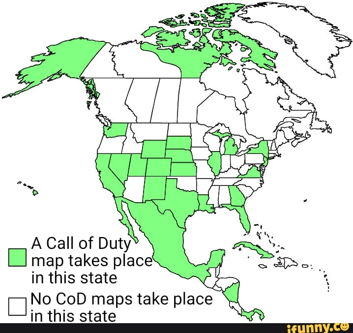 I told this stupid cat a million times 