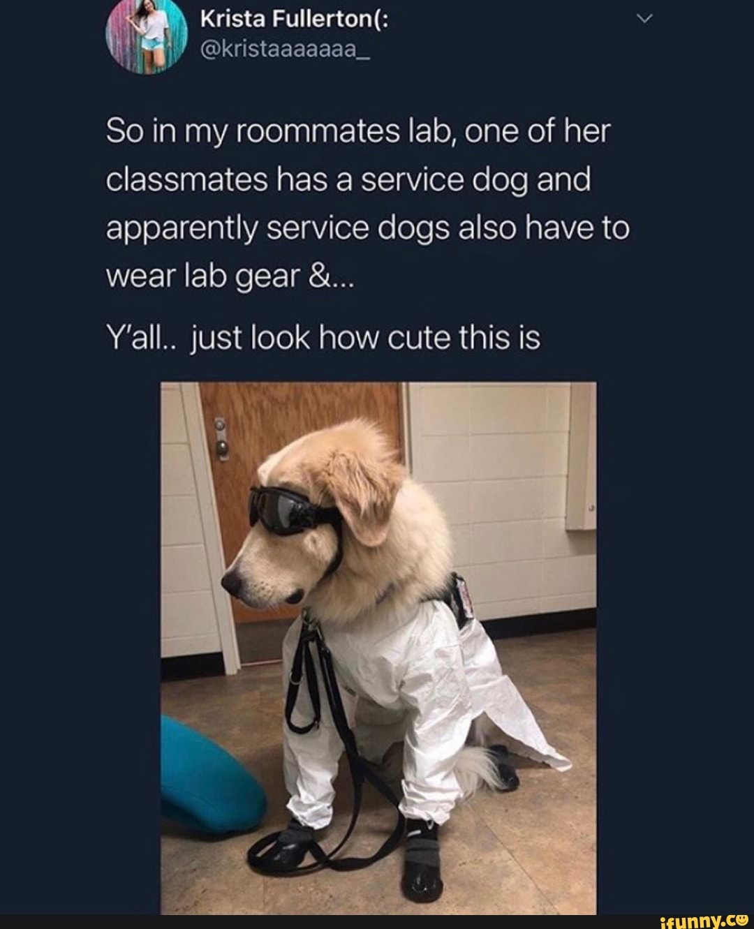 Krista Fullerton(:
@kristaaaaaaa_
So in my roommates lab, one of her classmates has a service dog and
apparently service dogs also have to wear lab gear
Y'all.. just look how cute this is