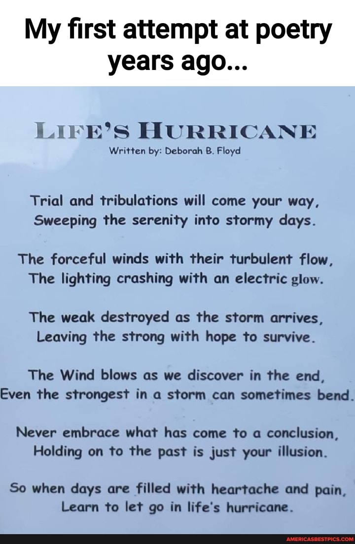 My first attempt at poetry years ago...
LIFE'S HURRICANE
Written by: Deborah B. Floyd
Trial and tribulations will come your way,
Sweeping the serenity into stormy days.
The forceful winds with their turbulent flow,
The lighting crashing with an electric glow.
The weak destroyed as the storm arrives,
Leaving the strong with hope to survive.
The Wind blows as we discover in the end,
Even the strongest in a storm can sometimes bend.
Never embrace what has come to a conclusion,
Holding on to the past is just your illusion.
So when days are filled with heartache and pain,
Learn to let go in life's hurricane.