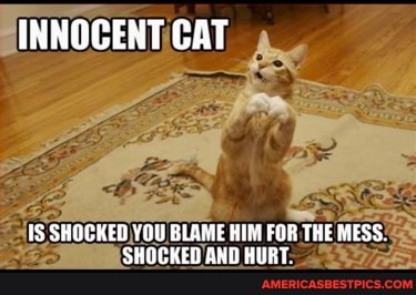 INNOCENT GAT
SHOGKED YOU BLAME HIM FOR THE MESS.
SHOCKED AND HURT.