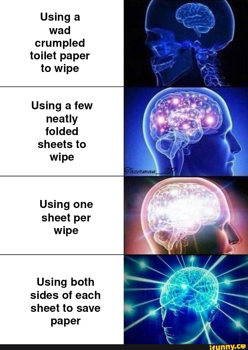 Using a wad crumpled toilet paper to wipe Using a few neatly folded sheets to wipe Using one