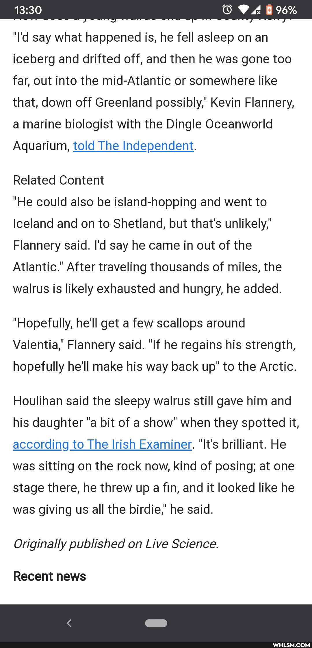 96%
"I'd say what happened is, he fell asleep on an iceberg and drifted off, and then he was gone too far, out into the mid-Atlantic or somewhere like that, down off Greenland possibly,' Kevin Flannery, a marine biologist with the Dingle Oceanworld
Aquarium, told The Independent.
Related Content
"He could also be island-hopping and went to
Iceland and on to Shetland, but that's unlikely,'
Flannery said. I'd say he came in out of the
Atlantic." After traveling thousands of miles, the
walrus is likely exhausted and hungry, he added.
"Hopefully, he'll get a few scallops around
Valentia,' Flannery said. "If he regains his strength,
hopefully he'll make his way back up" to the Arctic.
Houlihan said the sleepy walrus still gave him and his daughter "a bit of a show" when they spotted it, according to The Irish Examiner. "It's brilliant. He was sitting on the rock now, kind of posing; at one stage there, he threw up a fin, and it looked like he
was giving us all the birdie," he said.
Originally published on Live Science.
Recent news