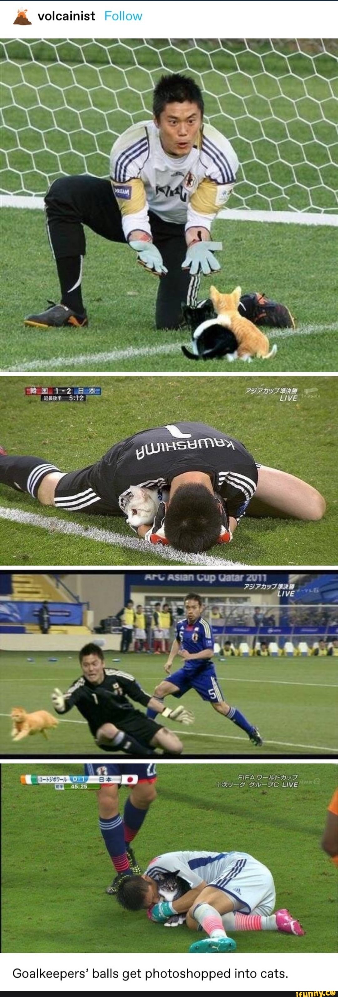 A Volcainist Follow Live Cup Fifa Live Goalkeepers Balls Get Photoshopped Into Cats Ifunny