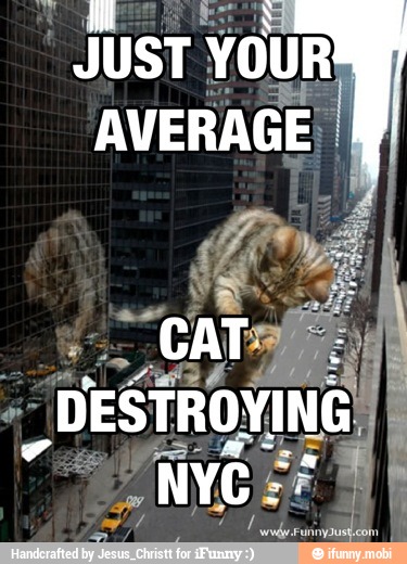 "JUST YOUR
AVERAGE,
