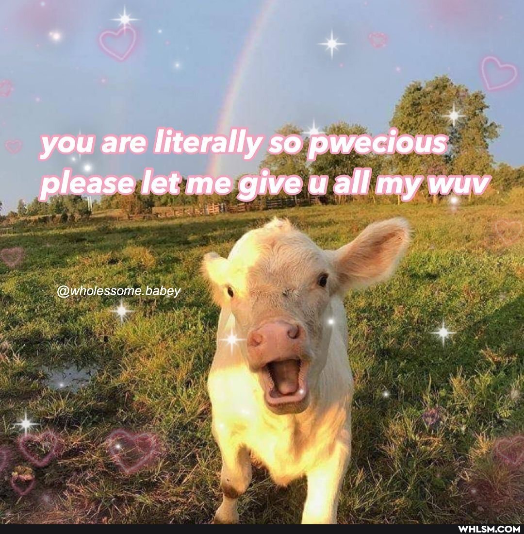 you are literally so pwecious please let me give u all my wuv
@wholessome.babey