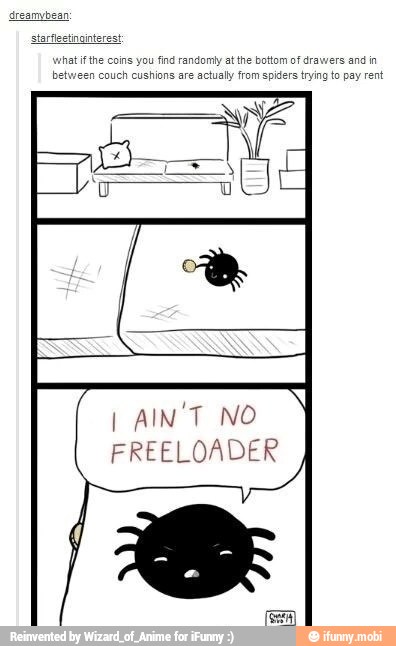 dreamvbean
fleetinointere
hat if th you find randomly atthe bottom
of drawers and in
een couch cushions are actualy from spiders trying to pay rent