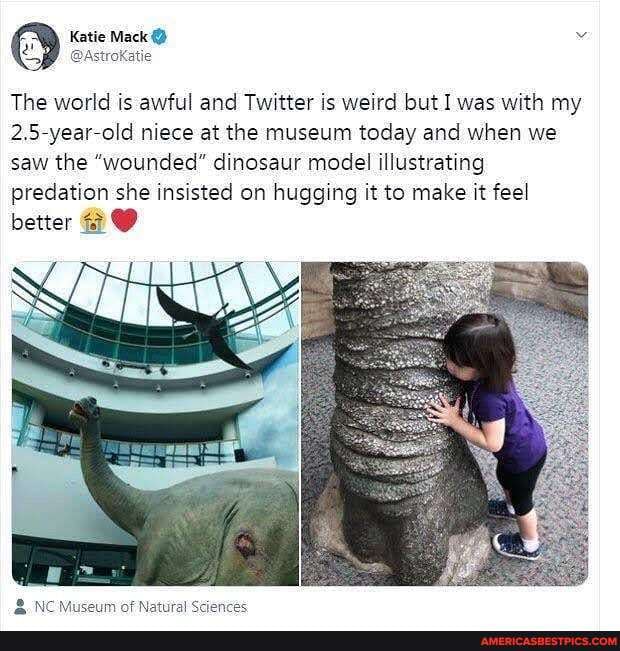 Katie Mack
The world is awful and Twitter is weird but I was with my
2.5-year-old niece at the museum today and when we saw the "wounded" dinosaur model illustrating predation she insisted on hugging it to make it feel
better @