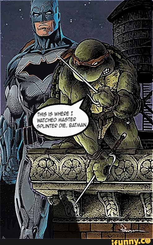 Hilarious Batman vs TMNT Meme - iFunny