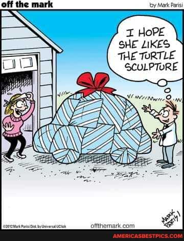 7 ZIHoPE \
SHE LIKES THE TORTLE
SCULPTURE