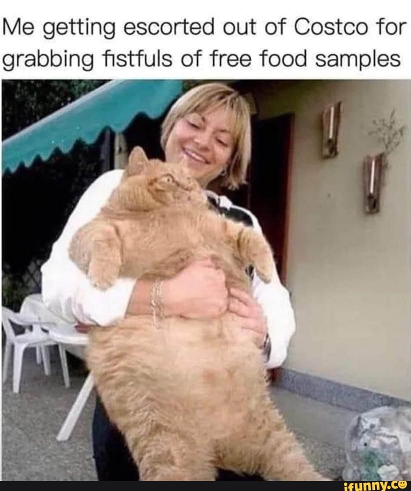 Me getting escorted out of Costco for grabbing fistfuls of free food ...