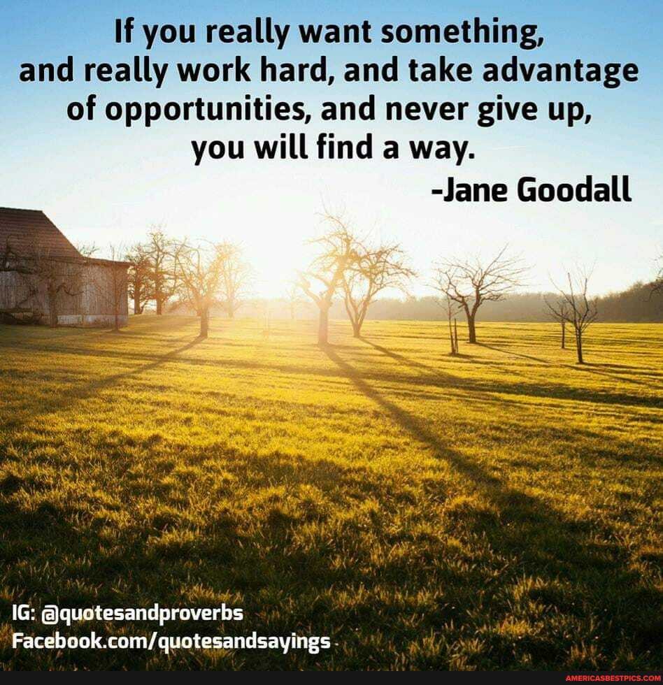 If you really want something, and really work hard, and take advantage of opportunities, and never give up, you will find a way.
IG: @quotesandproverbs
Facebook.
-Jane Goodall