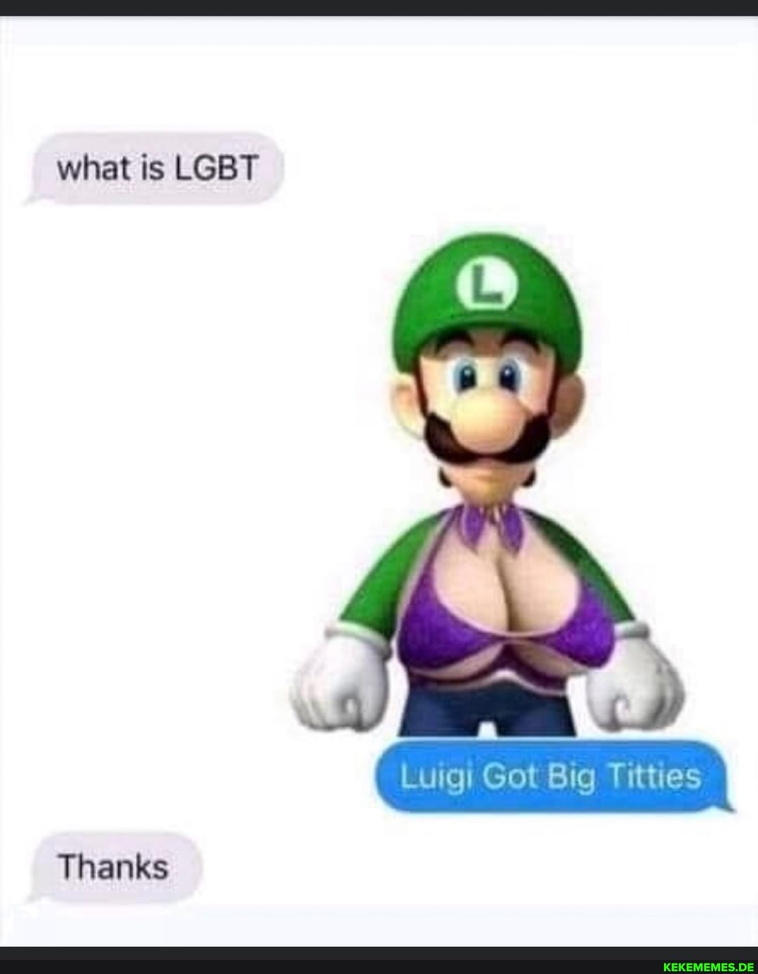 what is LGBT Luigi Got Big Titties Thanks