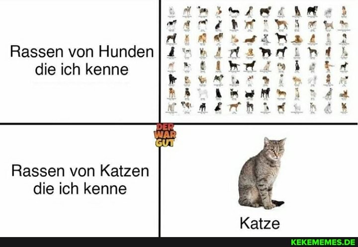 ER
SET
Rassen von Hunden die ich kenne
Rassen von Katzen
die ich kenne
Katze