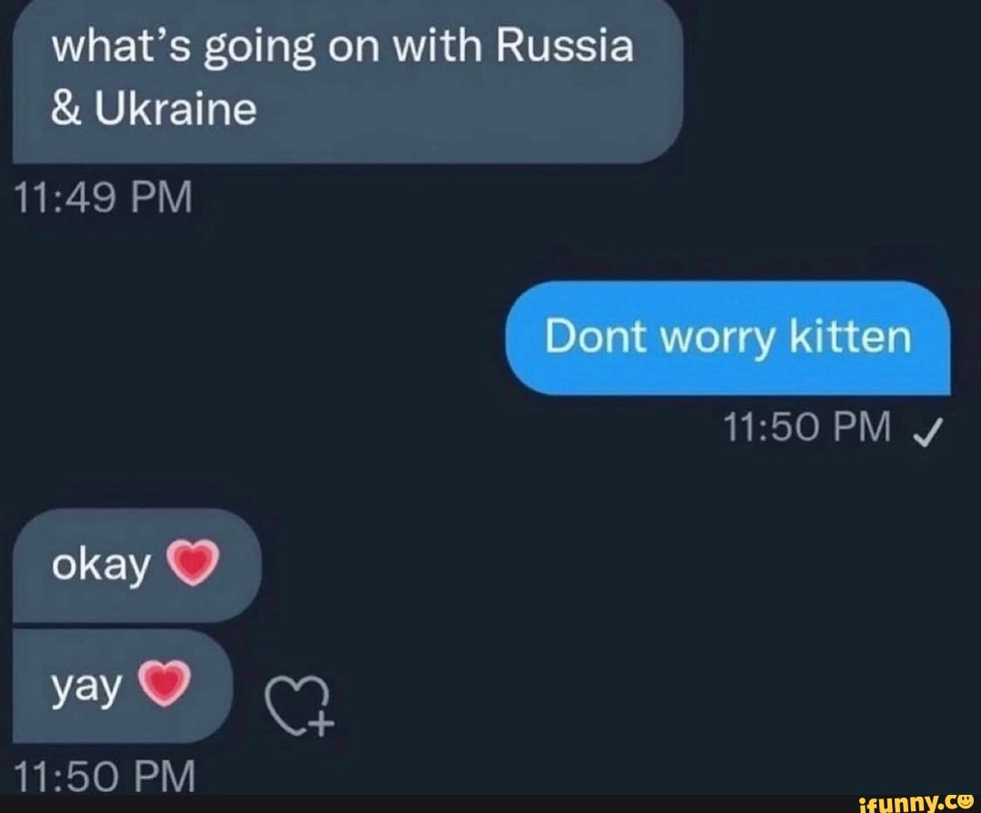 what-s-going-on-with-russia-ukraine-pm-dont-worry-kitten-pm-okay-yay-pm