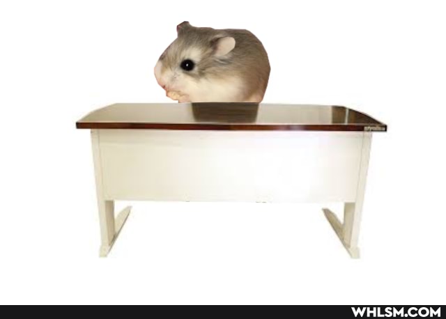 funny, photoshop, hamster
