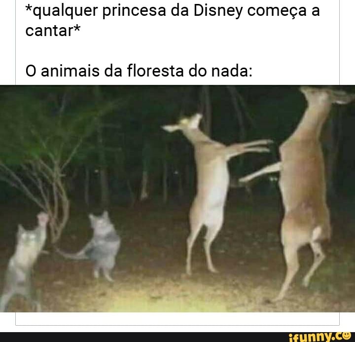 *qualquer princesa da Disney começa a cantar*
O animais da floresta do nada:
SÉ PA
* /