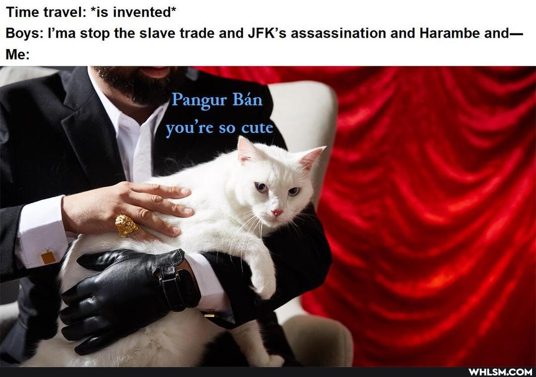 Time travel: *is invented*
Boys: I'ma stop the slave trade and JFK's assassination and Harambe and-
Me:
Pangur Ban
you so cute