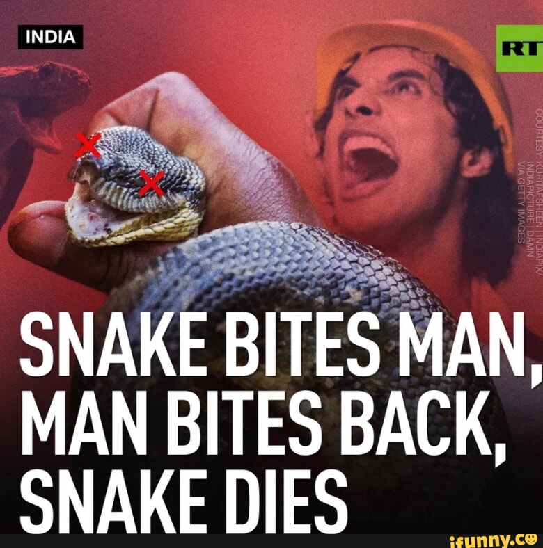 INDIA SNAKE BITES MAN, MAN BITES BACK, SNAKE DIES - IFunny