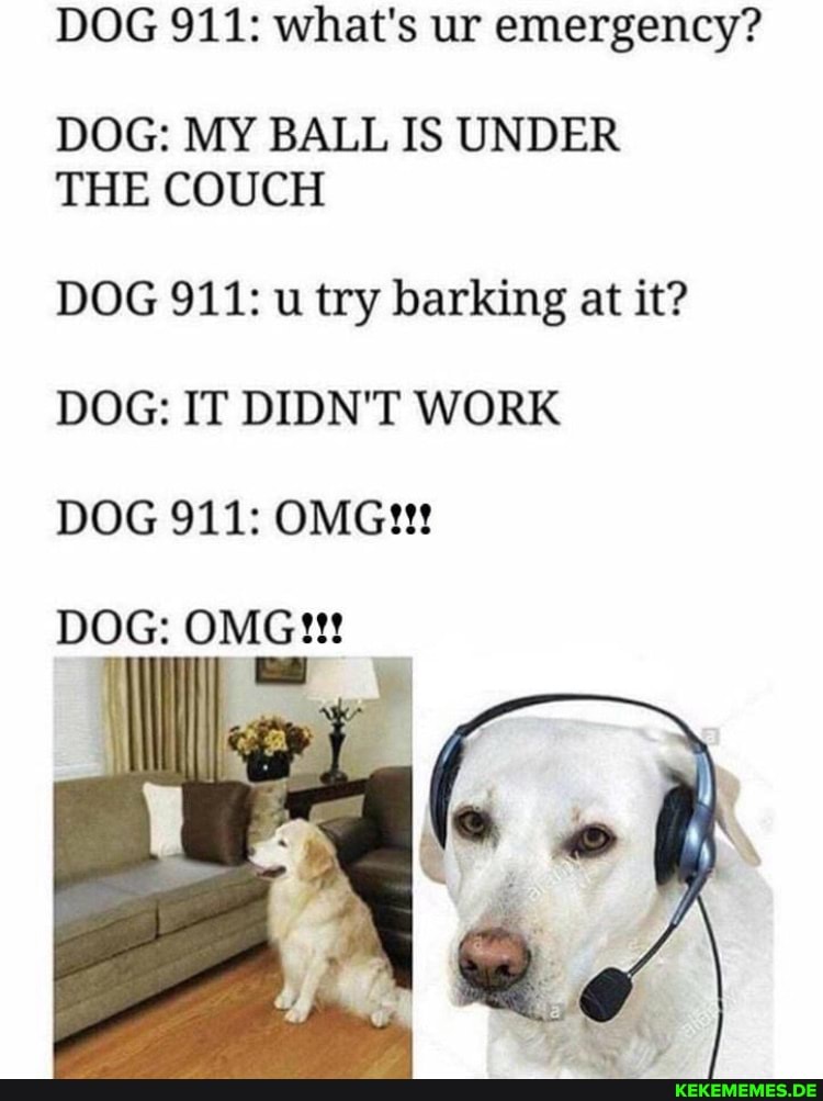 DOG 911: what's ur emergency? DOG: MY BALL IS UNDER THE COUCH DOG 911: u try bar