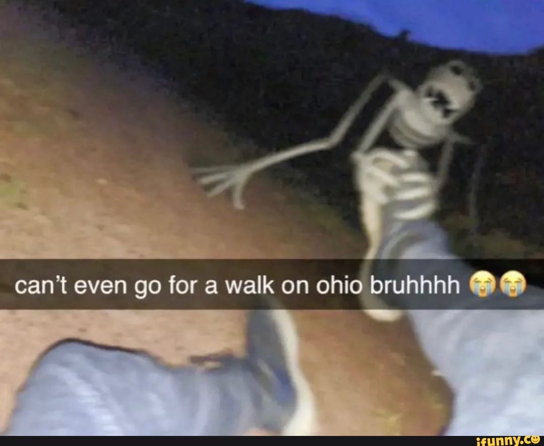 Cant Even Go For A Walk On Ohio Bruhhhh Ifunny