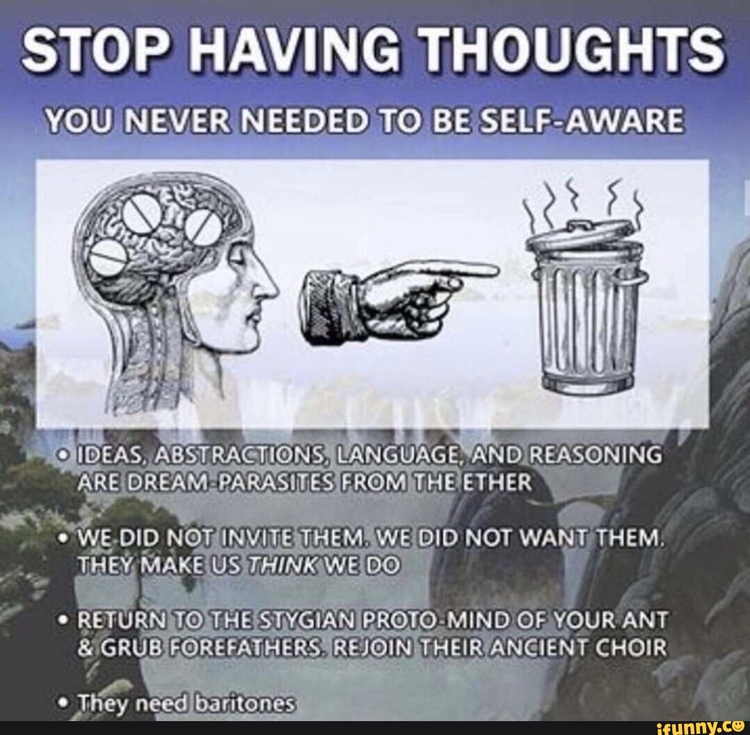 stop-having-thoughts-you-never-needed-to-be-self-aware-m-the-ether