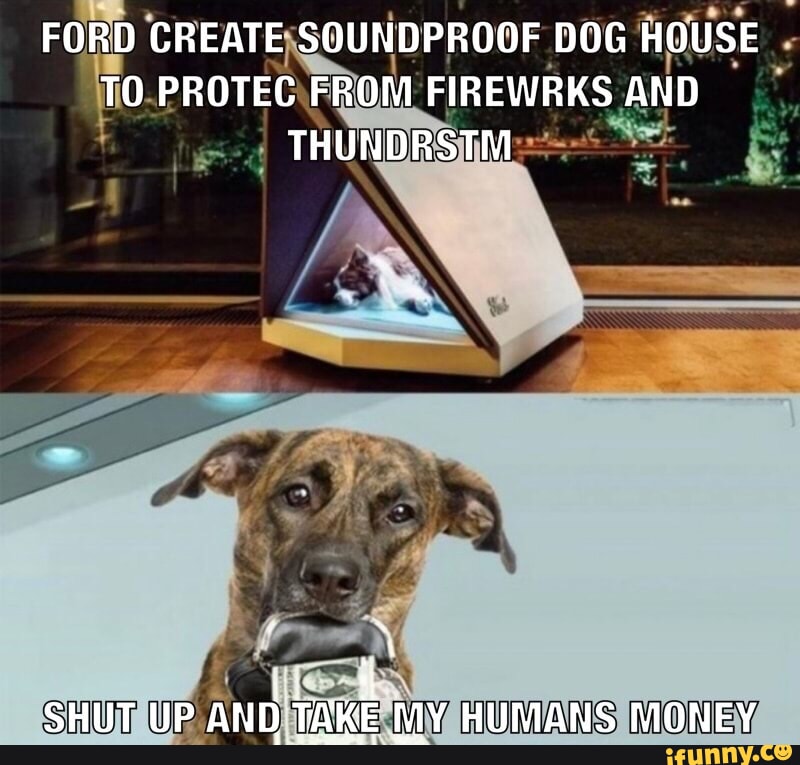 Dog 2024 house ford