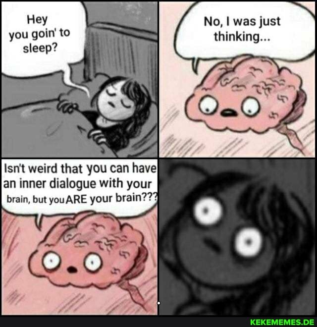 Hey No, I was just you to thinking...
Isn't weird that you can have an inner dialogue with your brain, but ARE your brain???