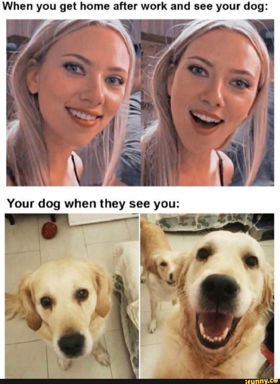 When you get home after work and see your dog:
Your dog when they see you: