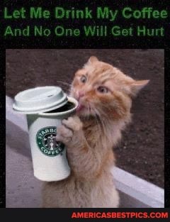 Let Me D 'ak My Coffee
A IN WIG