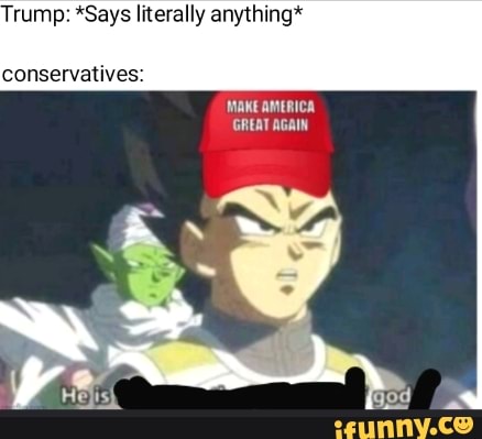 rump: *Says literally anything*
conservatives:
MAKE AMERICA