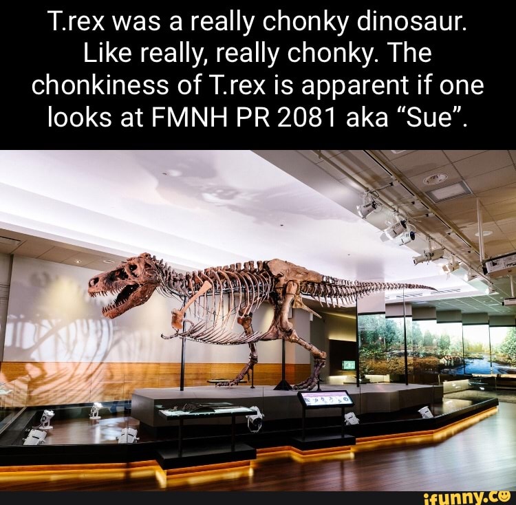 Rex Shunk T.rex was a really chonky dinosaur. Like really, really chonky. The ...