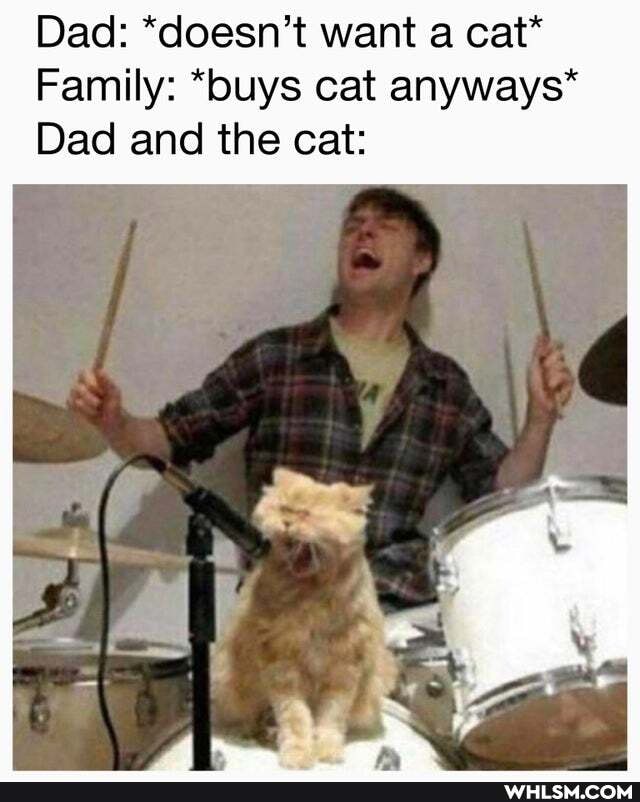 Dad: *doesn't want a cat*
Family: *buys cat anyways*
Dad and the cat: