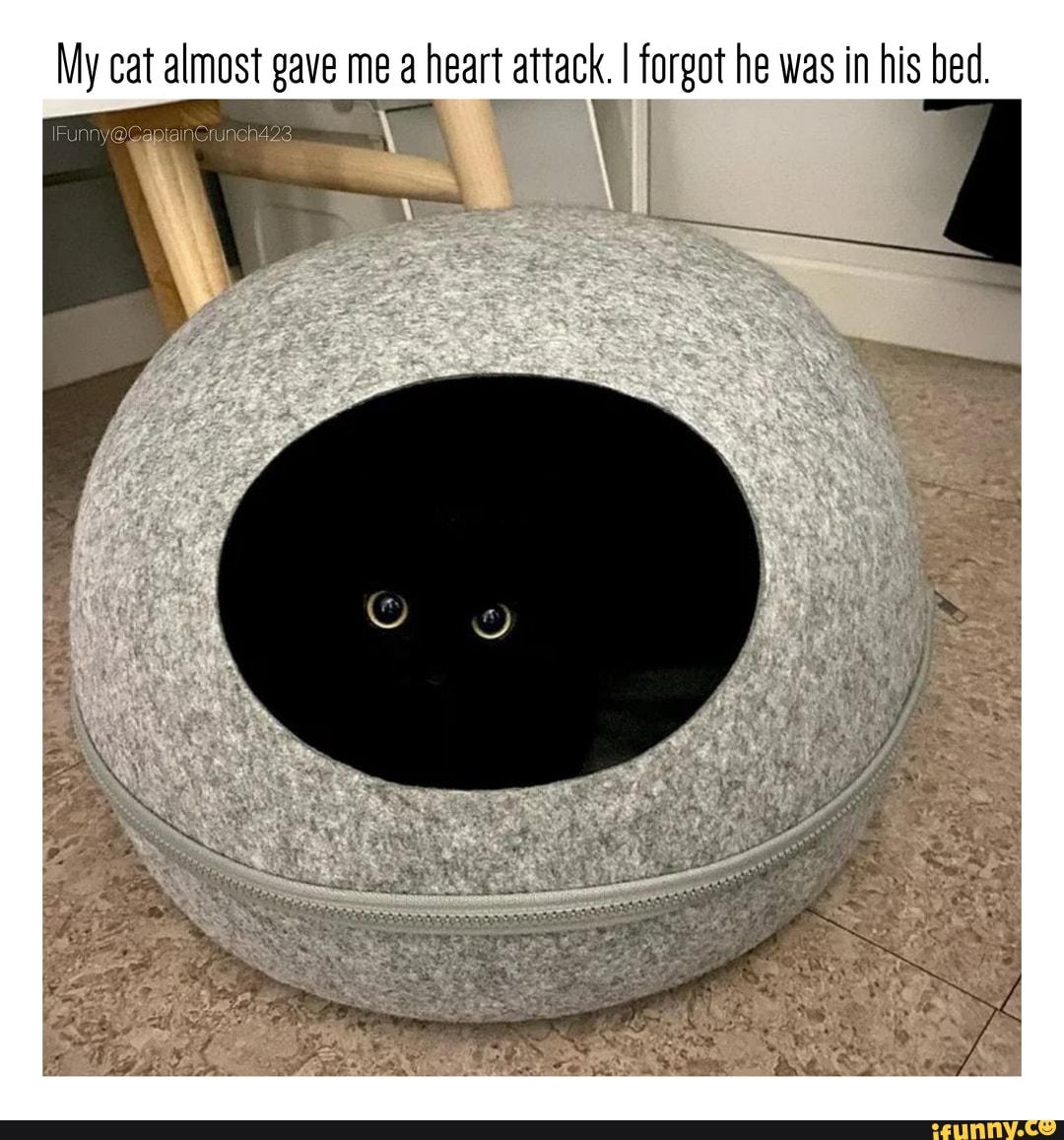 My cat almost gave me a heart attack. I forgot he was in his bed.