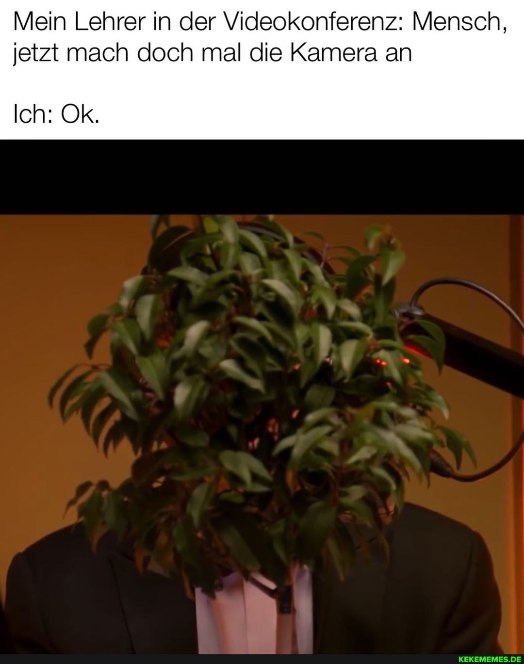 Mein Lehrer in der Videokonferenz: Mensch, jetzt mach doch mal die Kamera an
Ich: Ok.