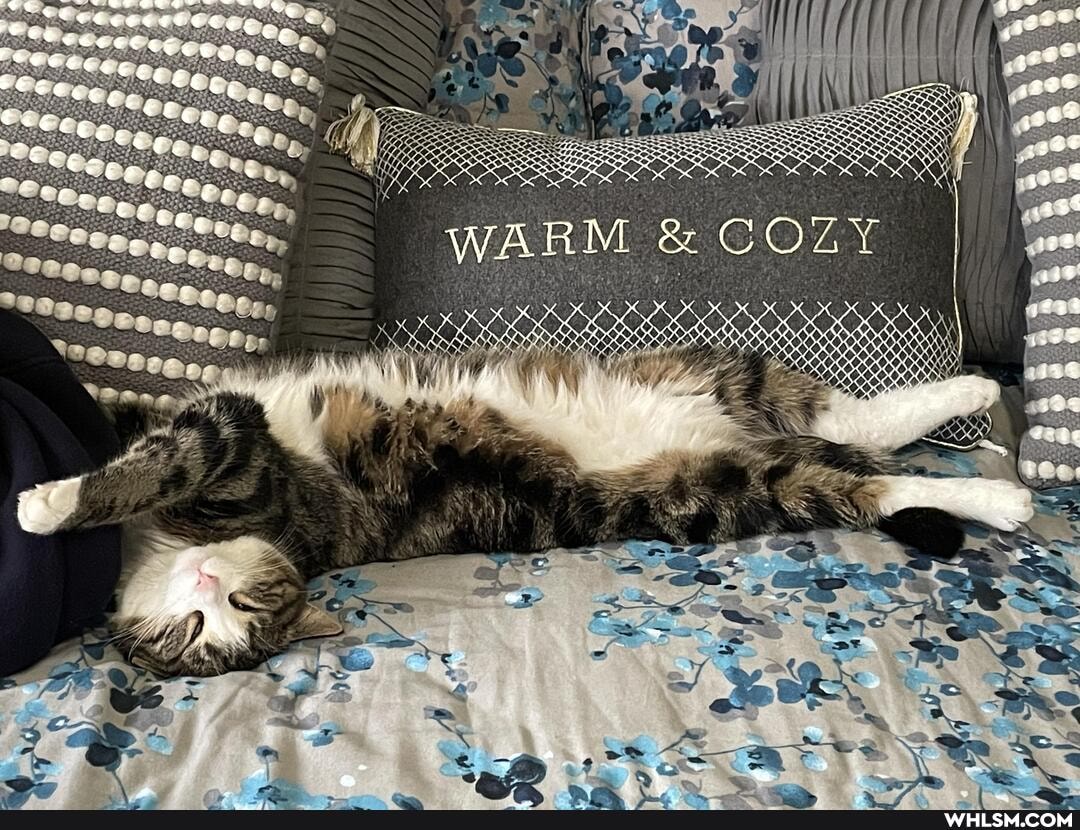 WARM & COZY