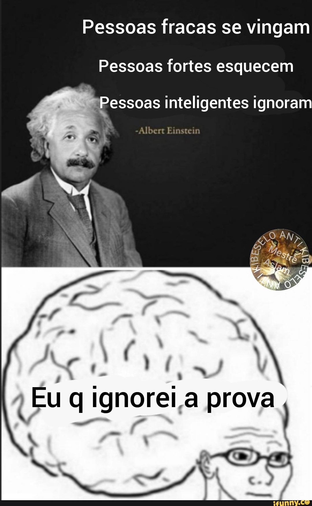 Pessoas fracas se vingam
Pessoas fortes esquecem
Pessoas inteligentes ignoram
Albert Einste
Eu ignorei prova