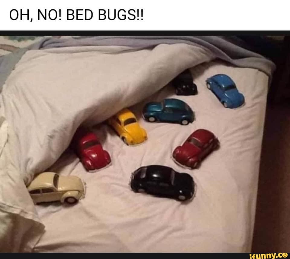 Punchbuggy memes Best Collection of funny Punchbuggy pictures on iFunny
