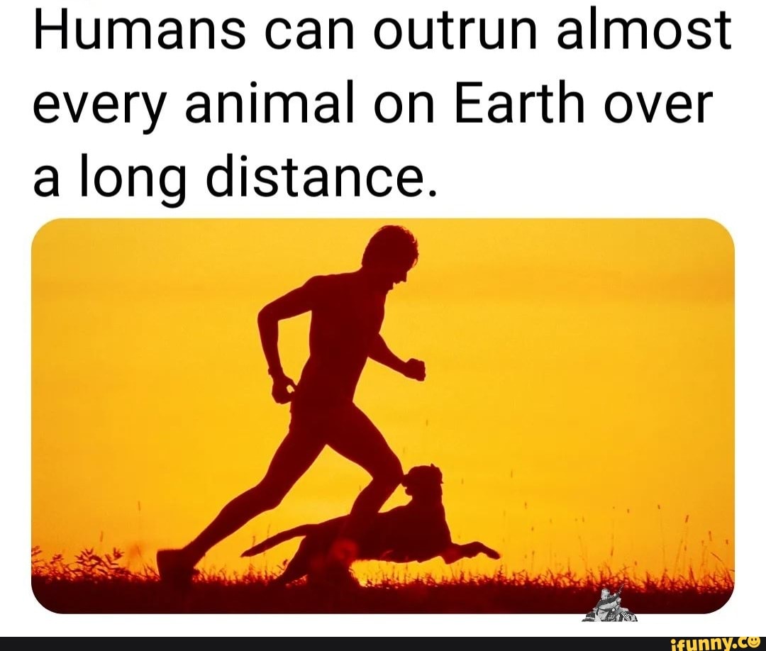 Humans can outrun almost every animal on Earth over a long distance