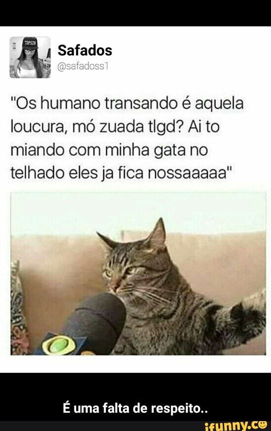 "Os humano transando é aquela
loucura, mó zuada tigd? Ai to
miando com minha gata no
telhado eles ja fica nossaaaaa"
É uma falta de respeito - É uma falta de respeito..