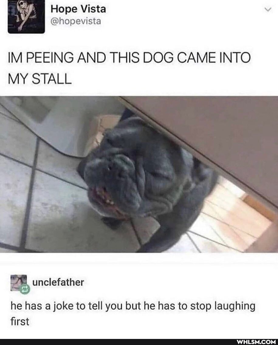 I Hope
IM PEEING AND THIS DOG CAME INTO MY STALL
he has a joke to tell you but he has to stop laughing first