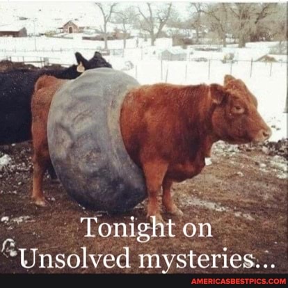 Tonight on
Unsolved mysteries...