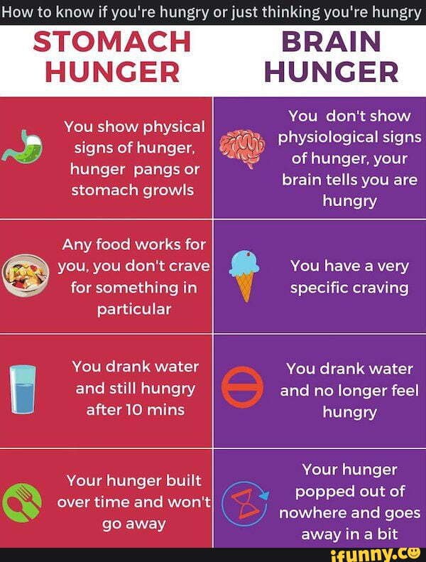 How to know if you're hungry STOMACH HUNGER You show physical signs of ...